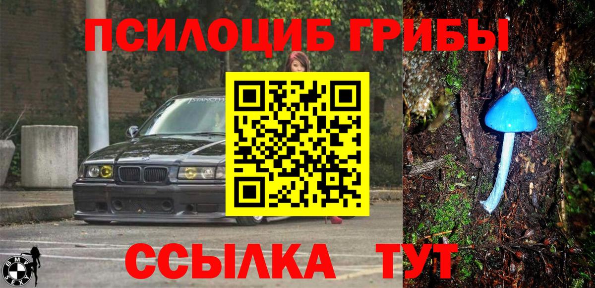 Галлюциногенные грибы мицелий Мценск